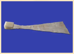Achilles Tendon with Bone