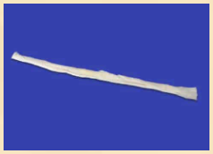 Anterior Tibialis Tendon
